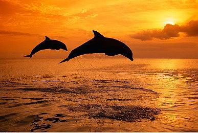 《星刃》新战斗演示视频：战衣性感 动作很酷炫